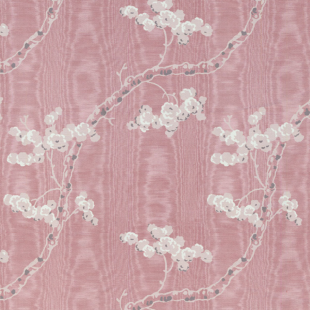 Dancing Alice - Ashen Rose Sample