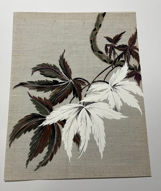 Japanese Acer Study 1 Giclee Art Print