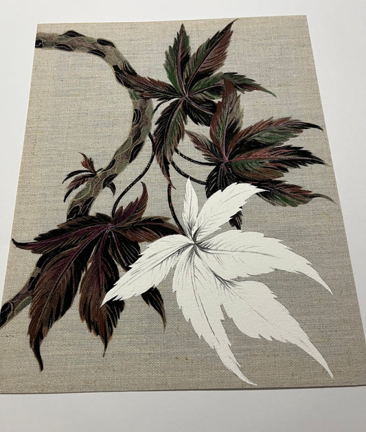 Japanese Acer Study 3 Giclee Art Print