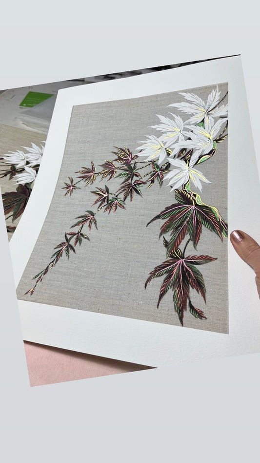 Limited Edition, Hand embellished, Japanese Acer Study 2 Giclee Art Print