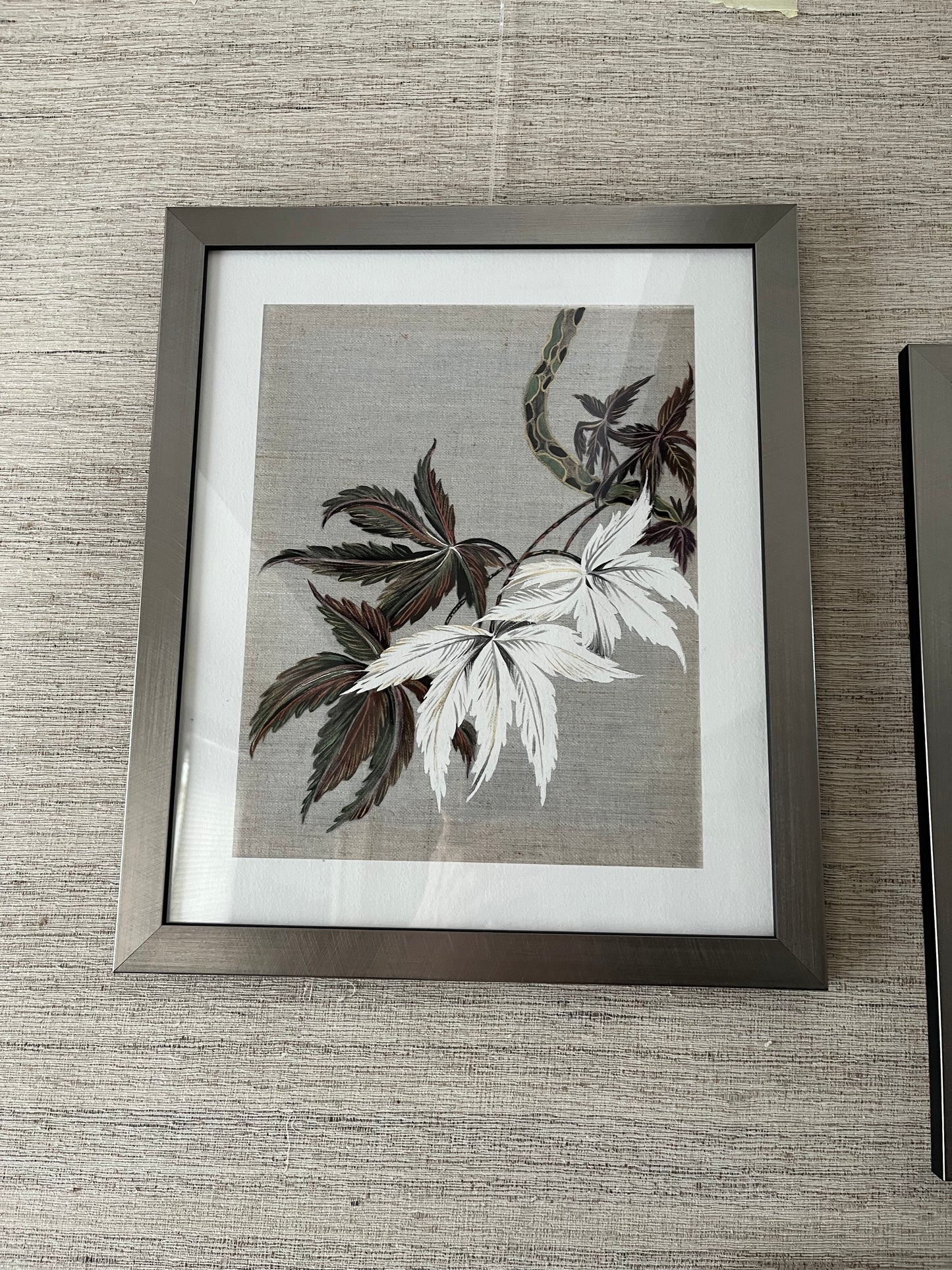 Japanese Acer studies. Set of 3 Giclee Art Prints