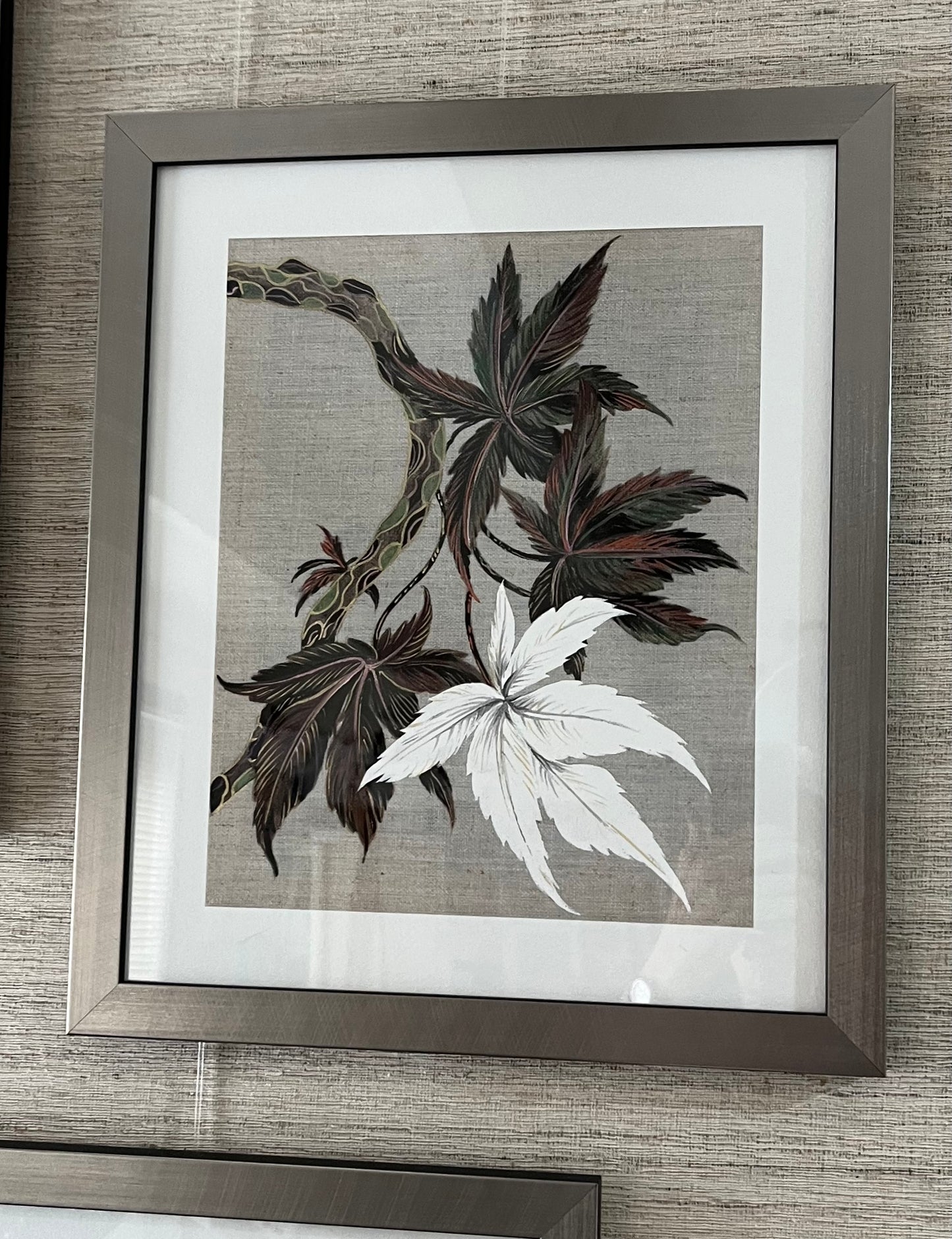 Japanese Acer studies. Set of 3 Giclee Art Prints