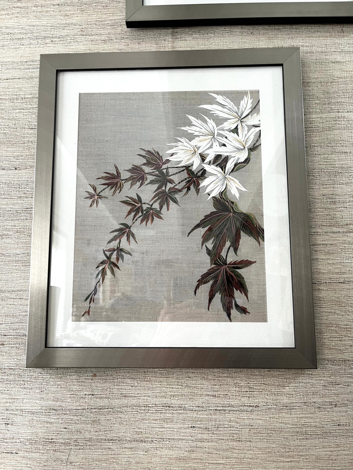 Japanese Acer studies. Set of 3 Giclee Art Prints