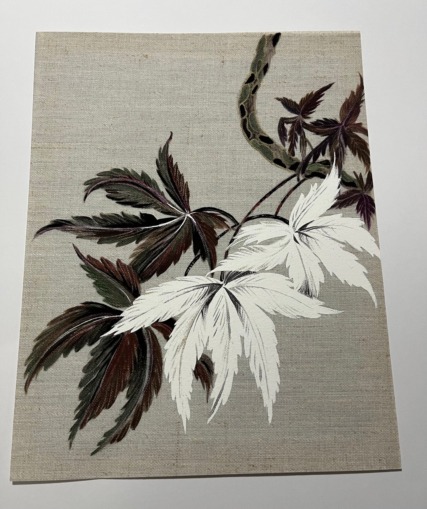 Japanese Acer studies. Set of 3 Giclee Art Prints