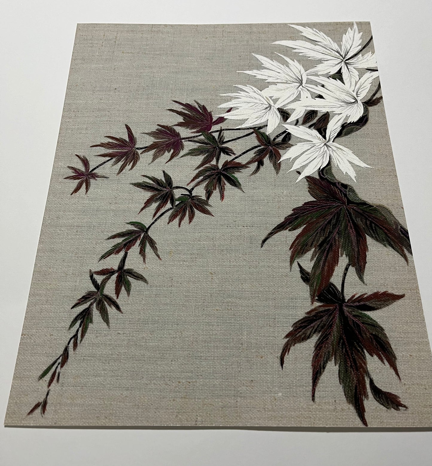 Japanese Acer studies. Set of 3 Giclee Art Prints