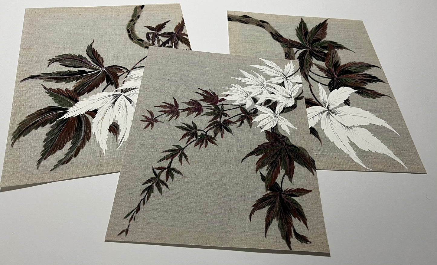 Japanese Acer studies. Set of 3 Giclee Art Prints