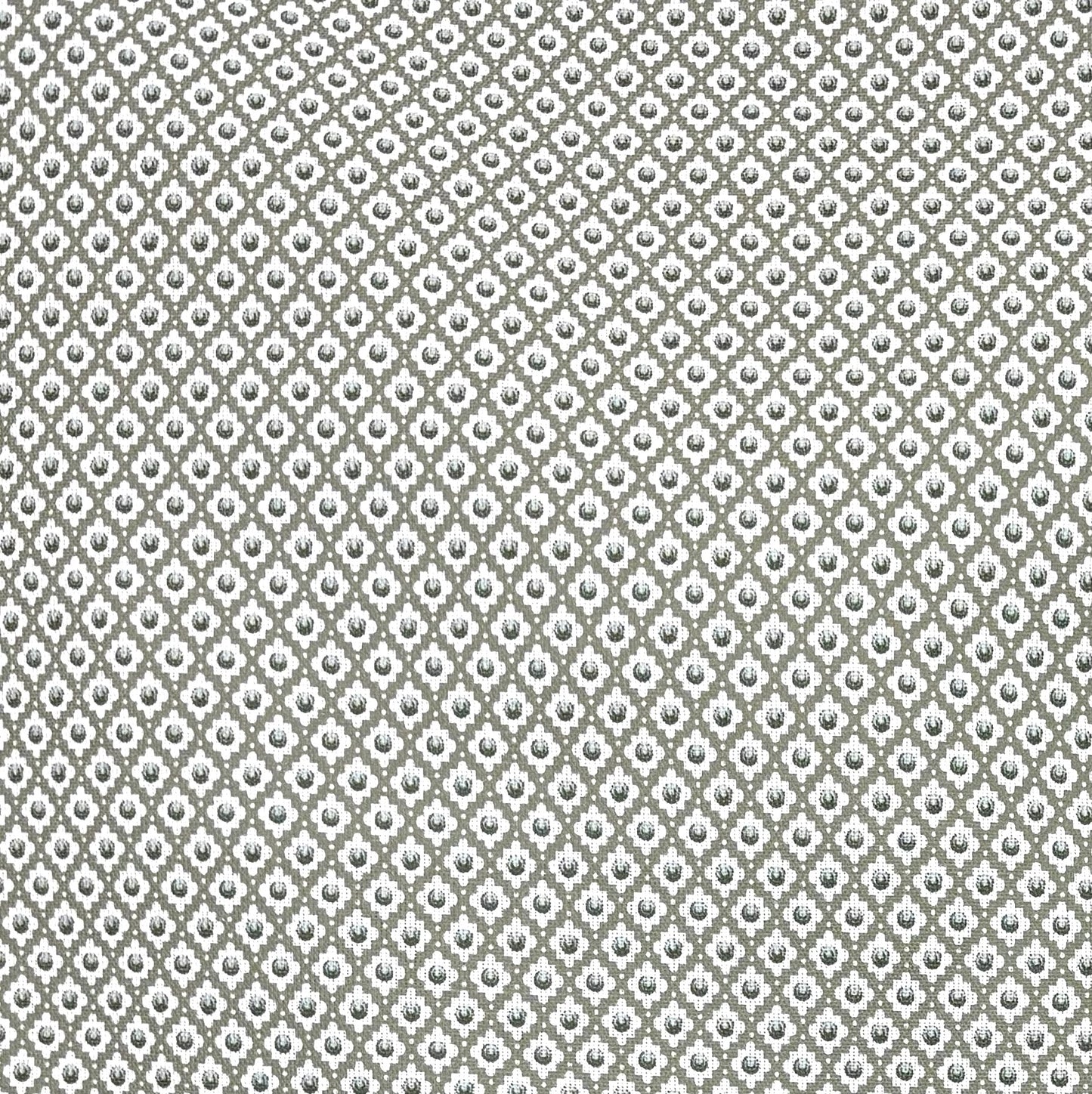 Charlie Boy - Khaki printed fabric